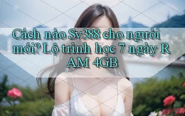 Cách nào Sv388 cho người mới lộ trình học 7 ngày RAM 4GB
