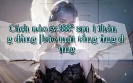 Cách nào sv388 sau 1 tháng dùng bảo mật tầng ứng dụng