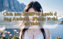 Cách nào Sv388 từ người dùng Android   iPhone 14 chính thức