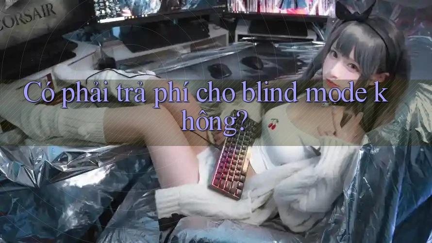 Có phải trả phí cho blind mode không?