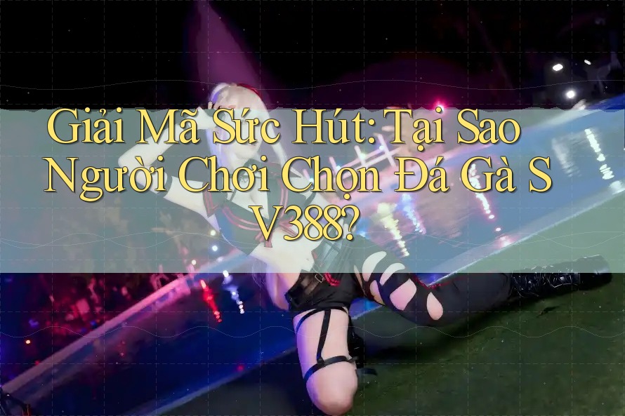 Giải Mã Sức Hút: Tại Sao Người Chơi Chọn Đá Gà SV388? Giải Mã Sức Hút: Tại Sao Người Chơi Chọn Đá Gà SV388?