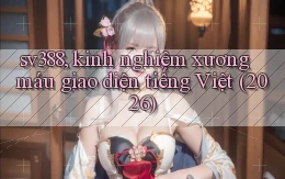 sv388, kinh nghiệm xương máu giao diện tiếng Việt (2026)