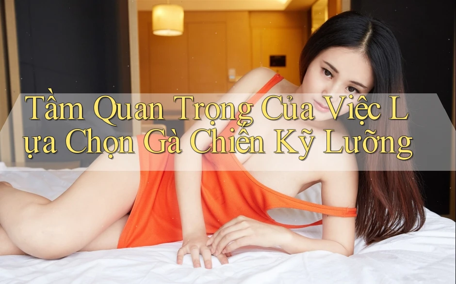 Tầm Quan Trọng Của Việc Lựa Chọn Gà Chiến Kỹ Lưỡng Tầm Quan Trọng Của Việc Lựa Chọn Gà Chiến Kỹ Lưỡng