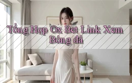 tổng hợp ox bet link xem bóng đá