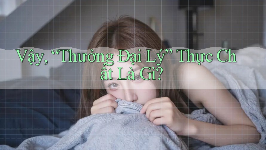 Vậy “Thưởng Đại Lý” Thực Chất Là Gì? Vậy “Thưởng Đại Lý” Thực Chất Là Gì?